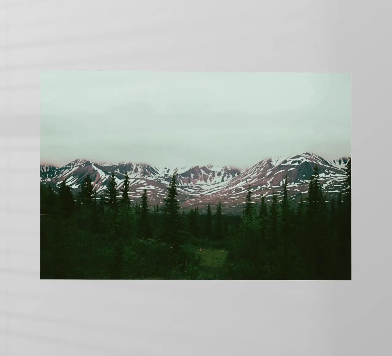 Alaska Daydreams pellicola backlit da wowhannahphotos