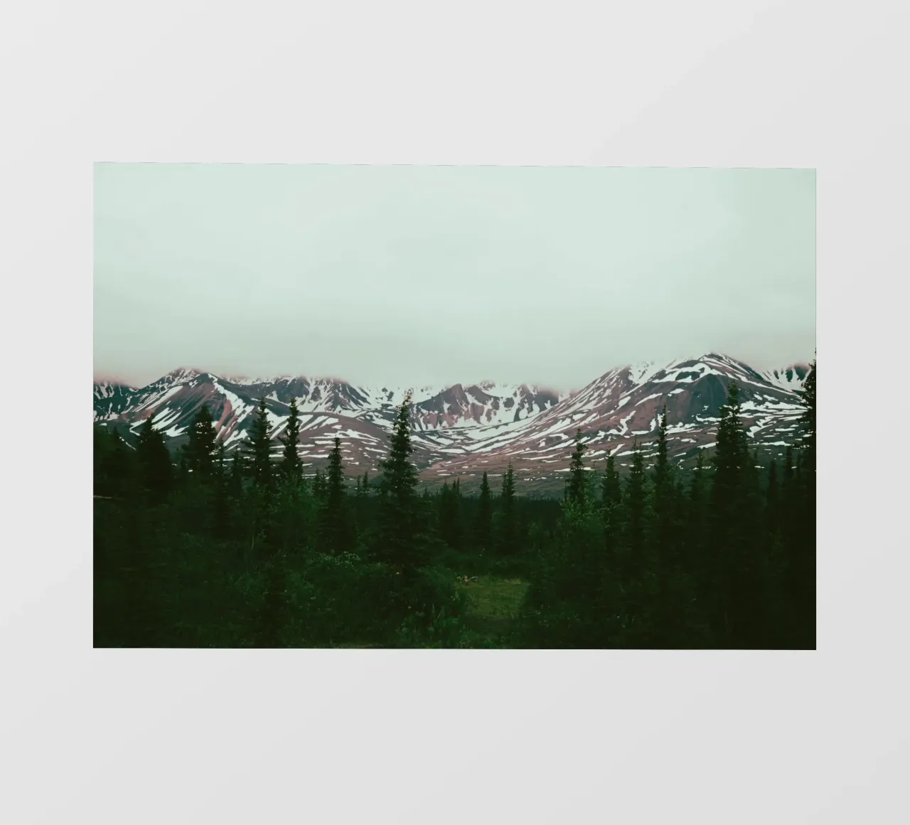 Alaska Daydreams pellicola backlit da wowhannahphotos