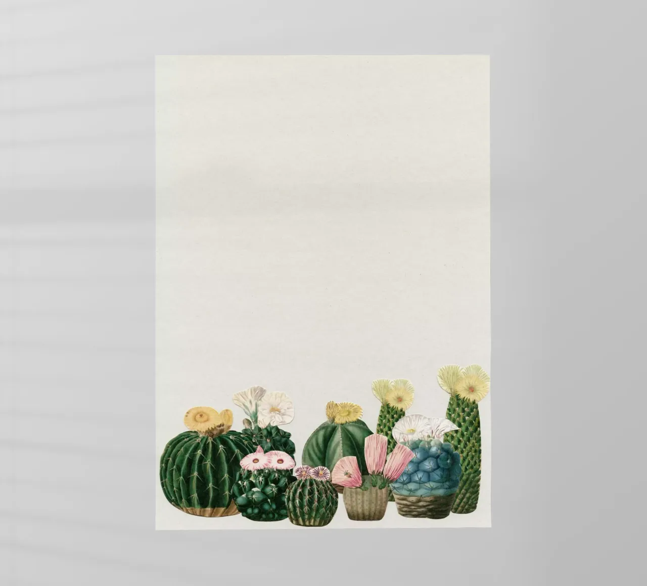 Cactustuin backlit folie van Cassia Beck Collage