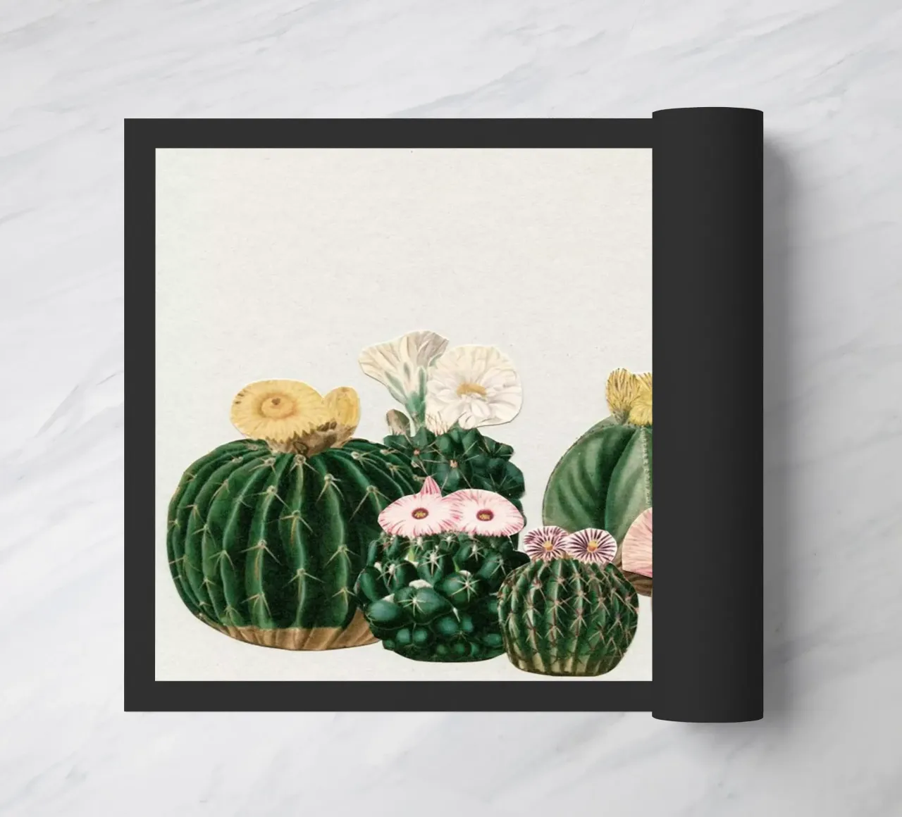 Cactustuin deurmat van Cassia Beck Collage