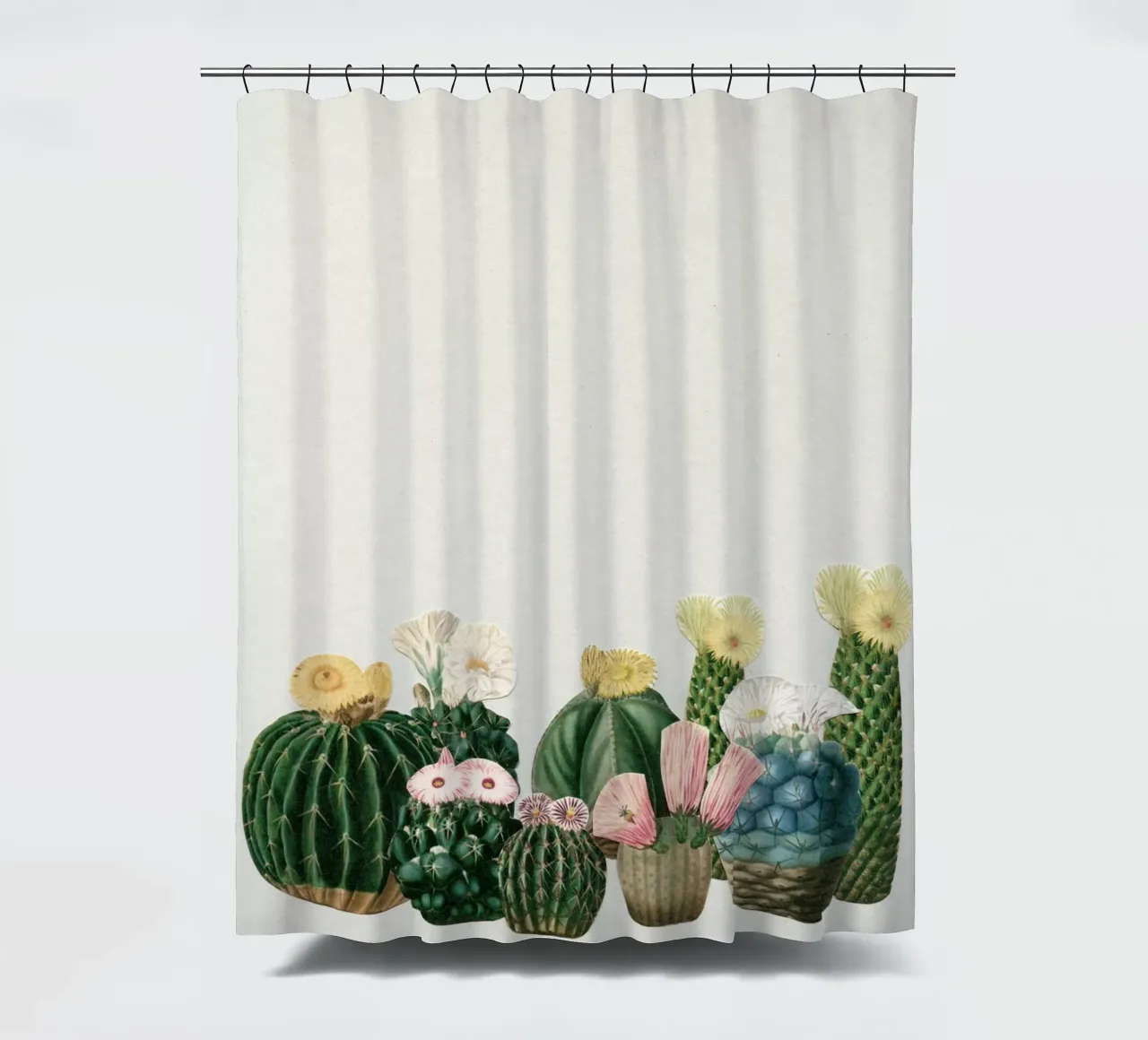 Cactustuin product.type.curtain-shower common.byCreator Cassia Beck Collage
