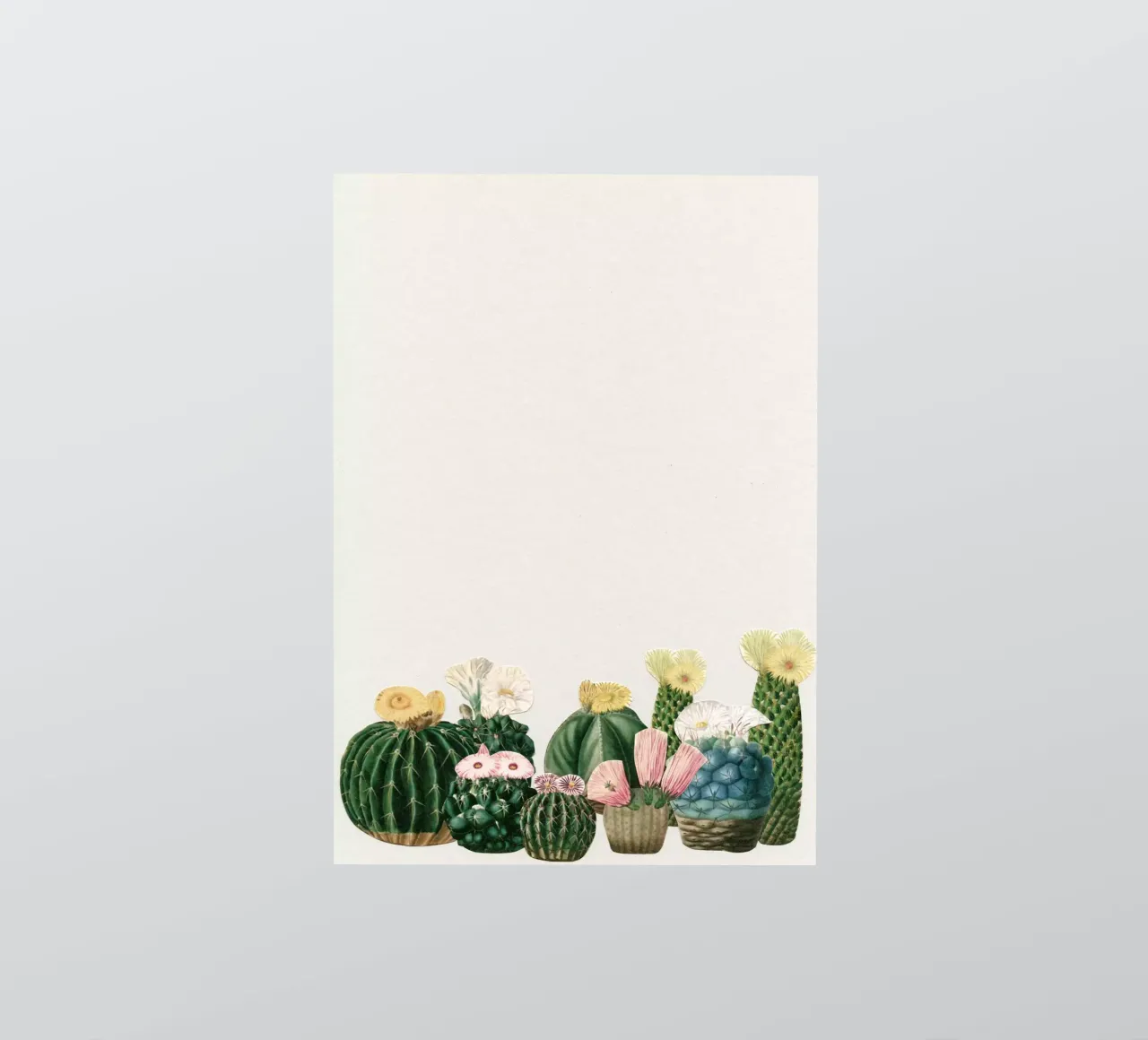 Cactustuin sticker van Cassia Beck Collage