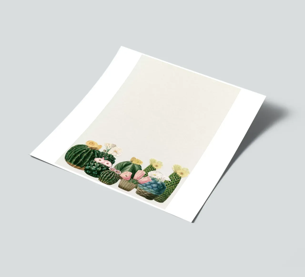 Cactustuin stickervel van Cassia Beck Collage