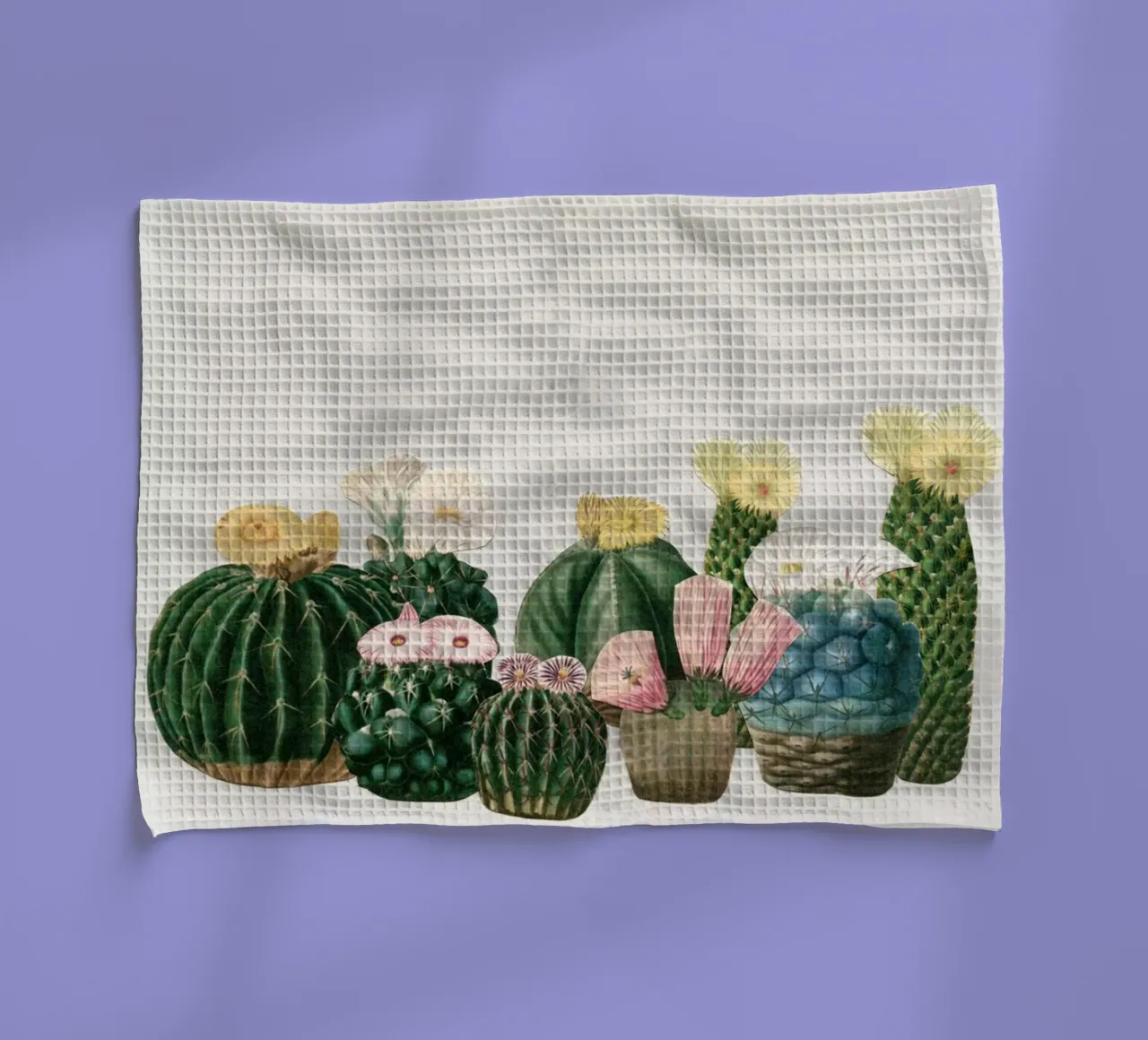 Cactustuin product.type.towel-tea common.byCreator Cassia Beck Collage