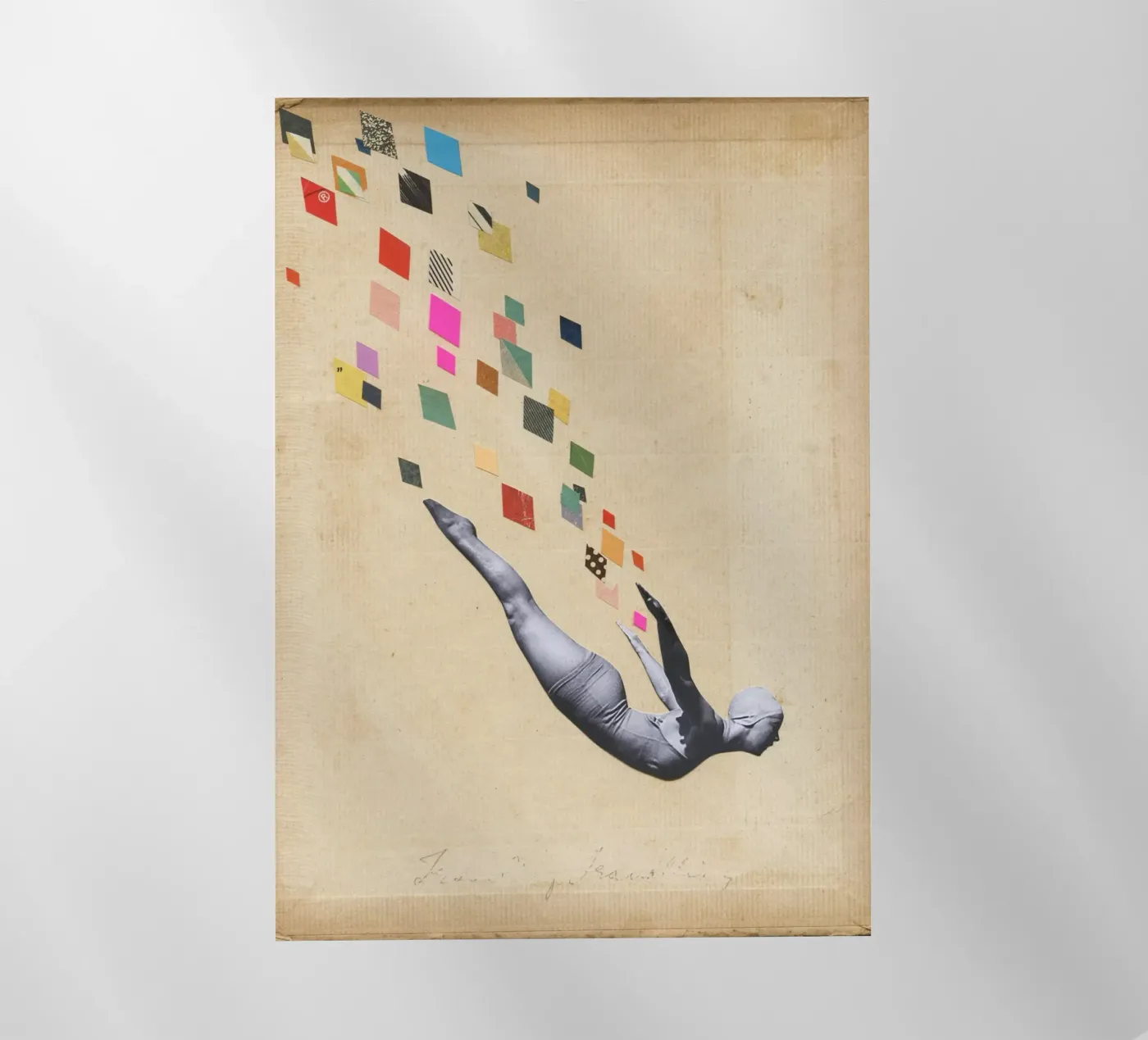 Schwan Backlit Folie von Cassia Beck Collage