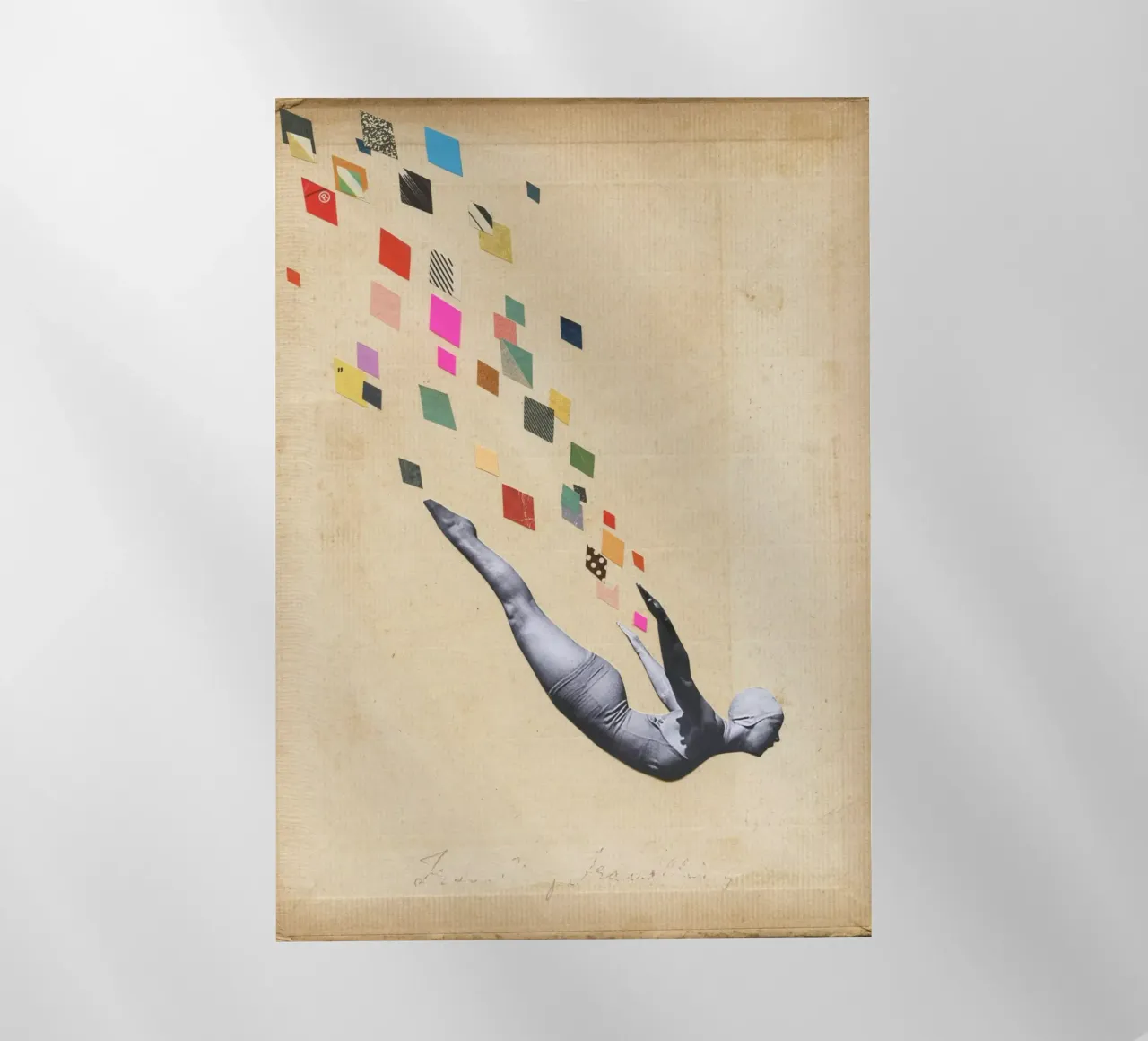 Cigno pellicola backlit da Cassia Beck Collage