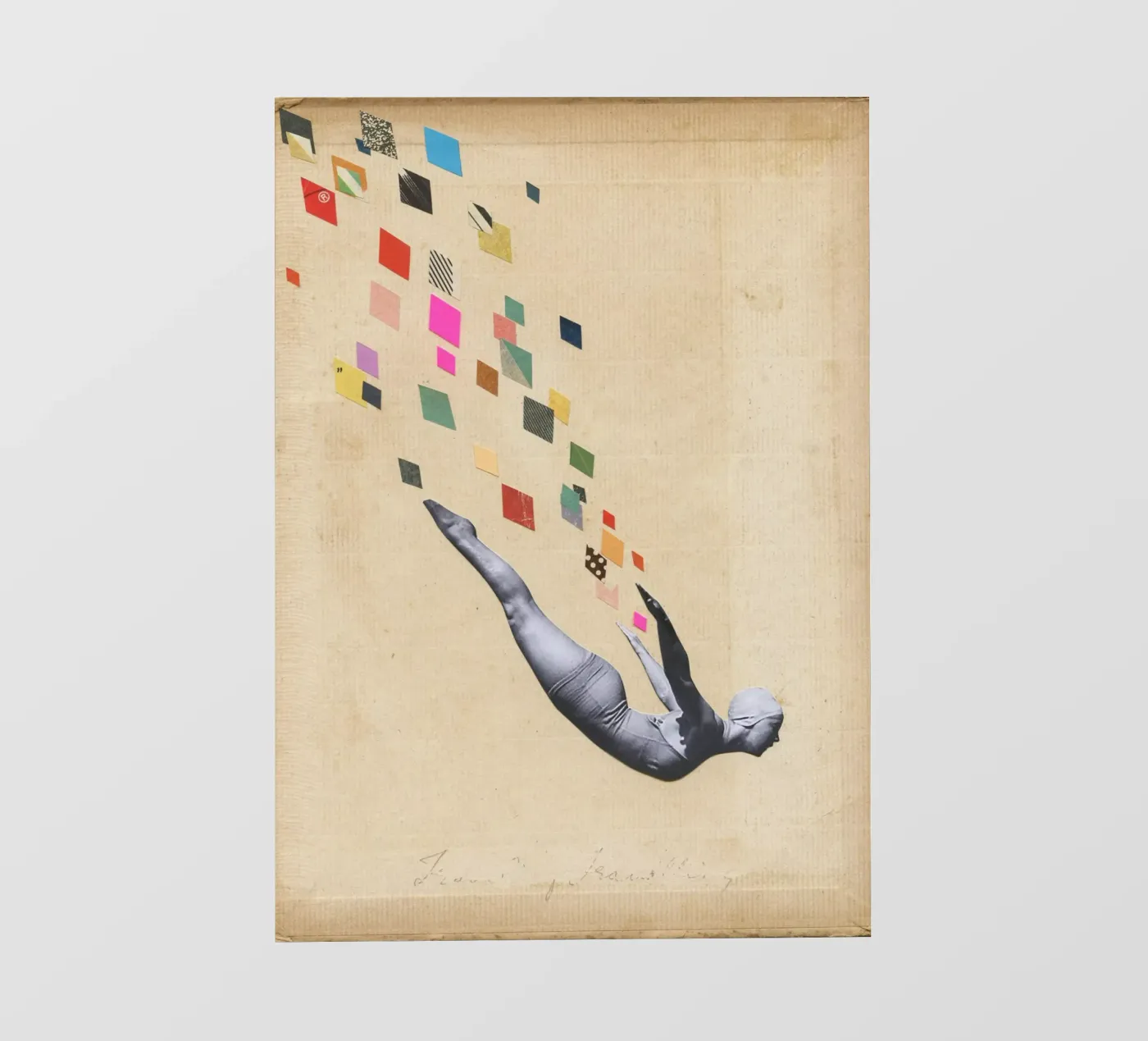 Schwan Backlit Folie von Cassia Beck Collage