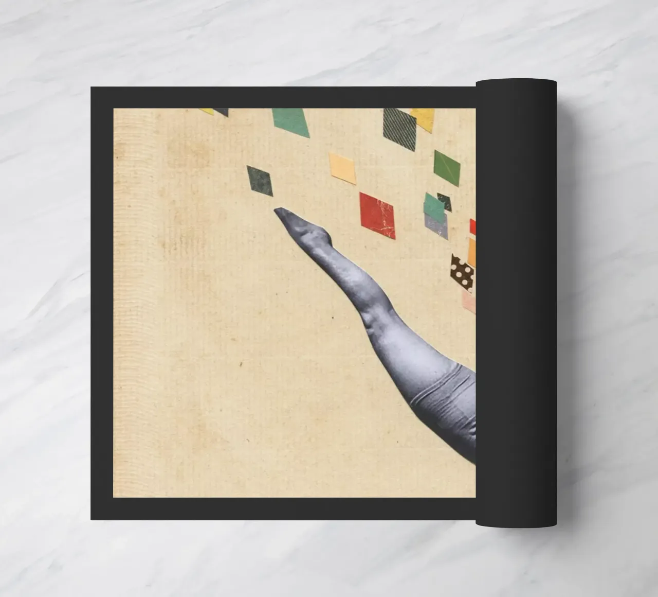 Swan doormat by Cassia Beck Collage