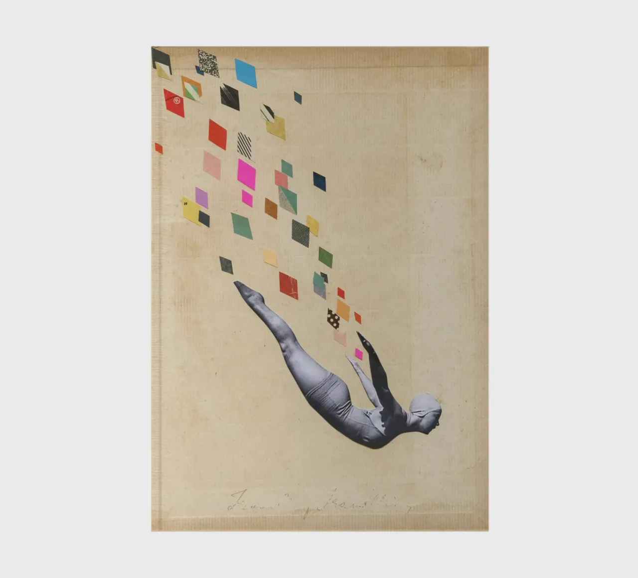 Cigno diario da Cassia Beck Collage