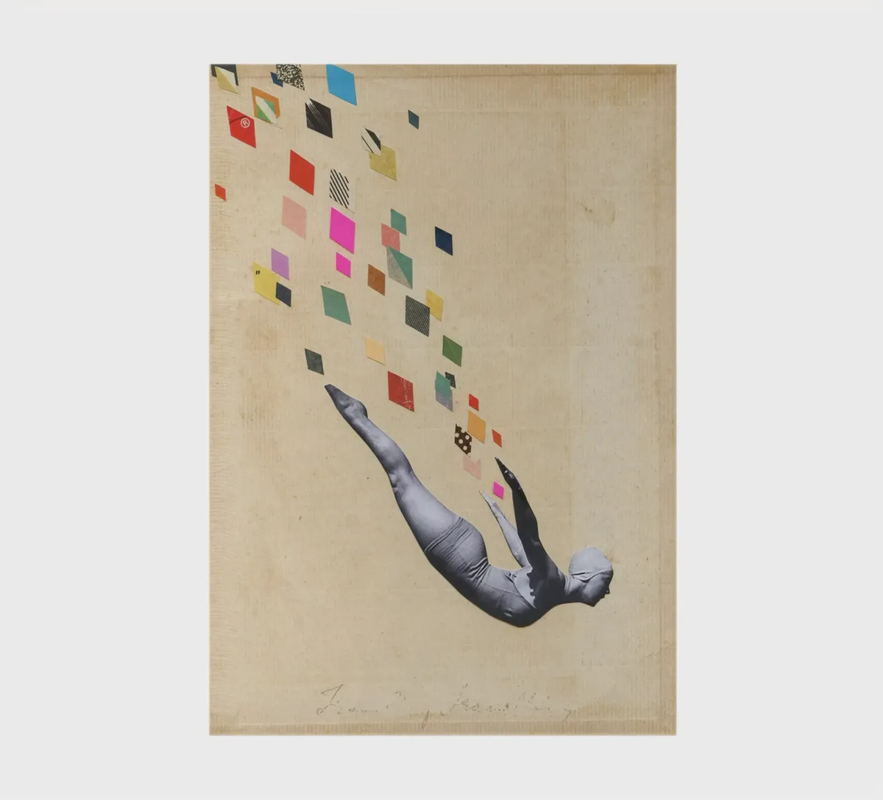 Cygne carnet de notes de Cassia Beck Collage