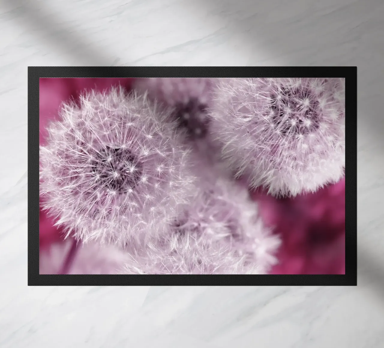 Pusteblumen zerbino da Atteloi