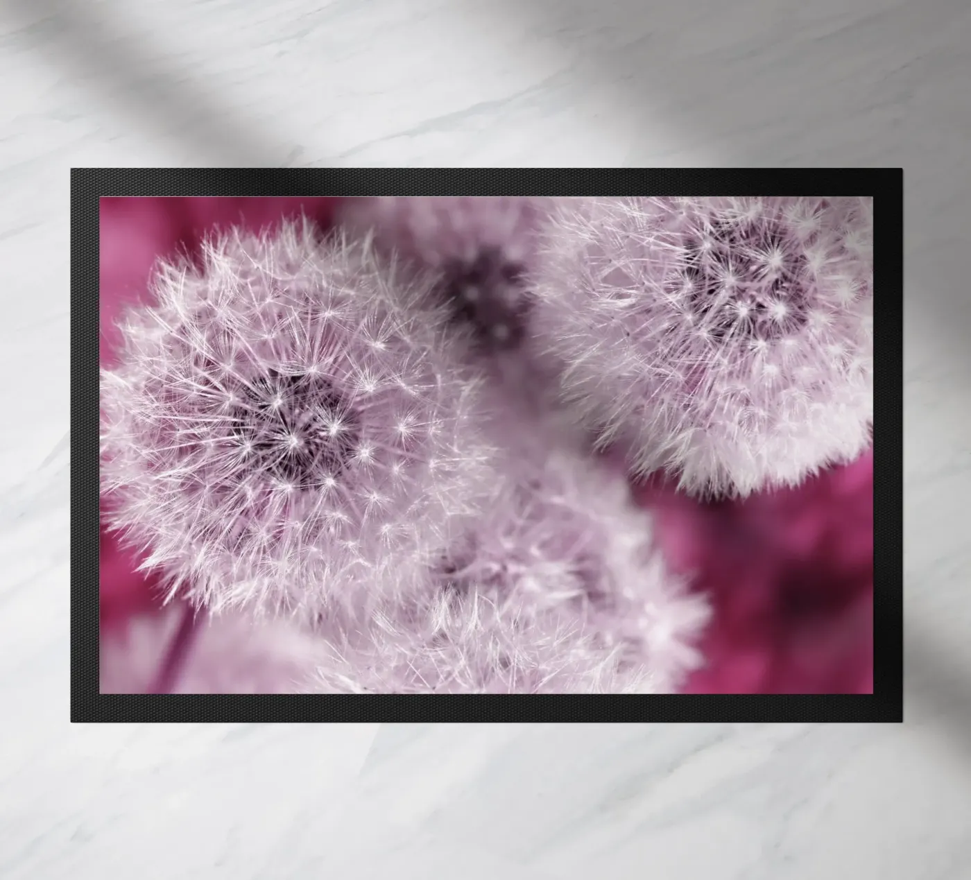 Pusteblumen zerbino da Atteloi