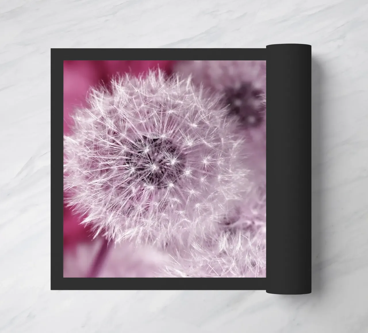 Pusteblumen zerbino da Atteloi