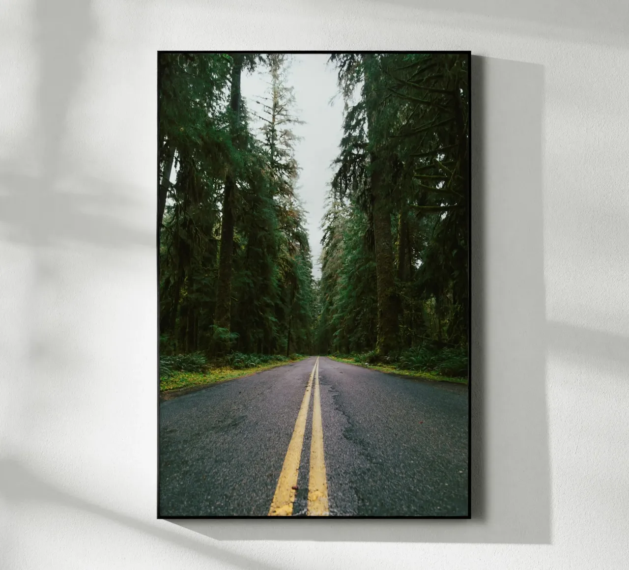 Rainforest Drive plexiglass da wowhannahphotos