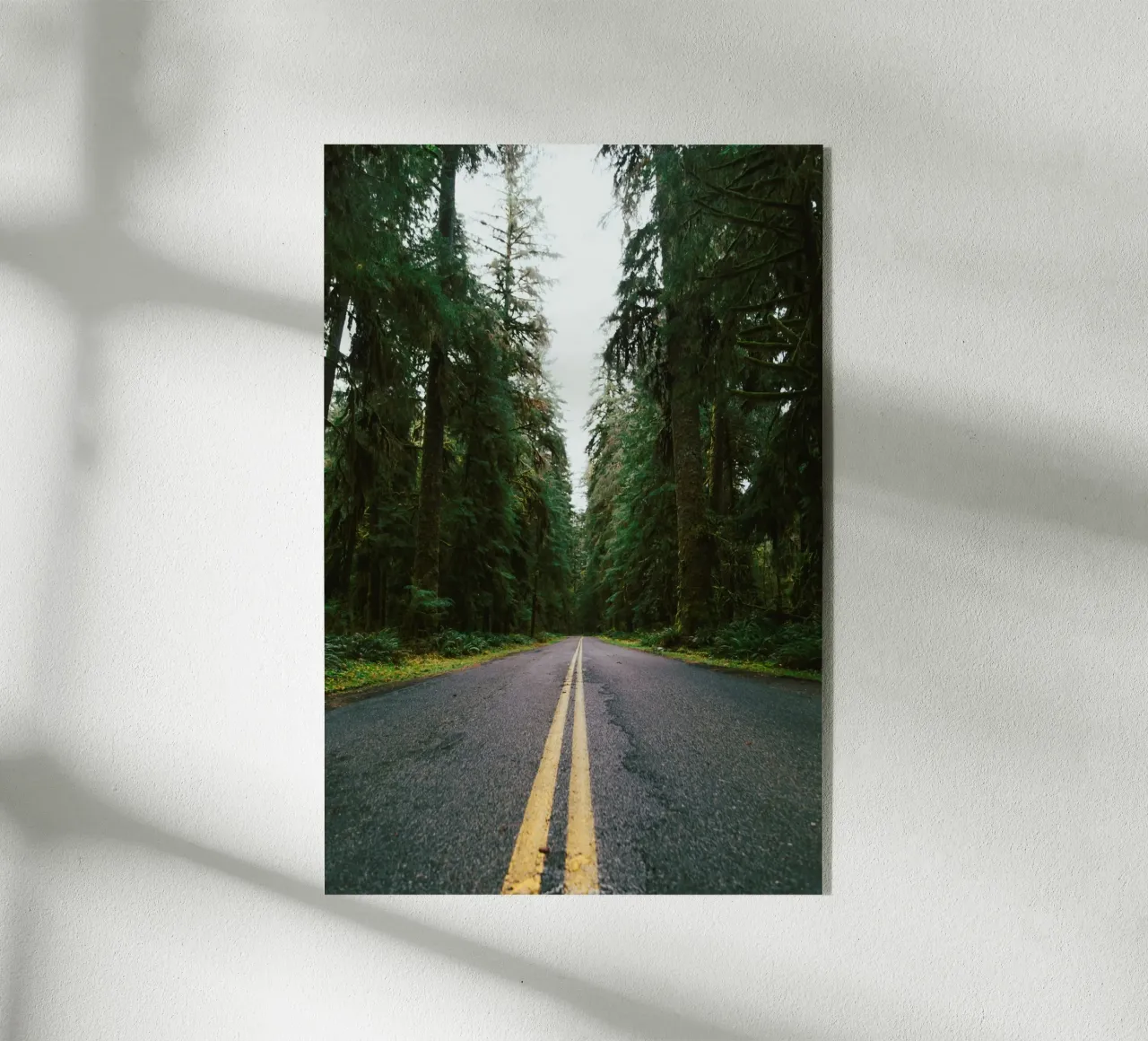 Rainforest Drive plexiglass da wowhannahphotos