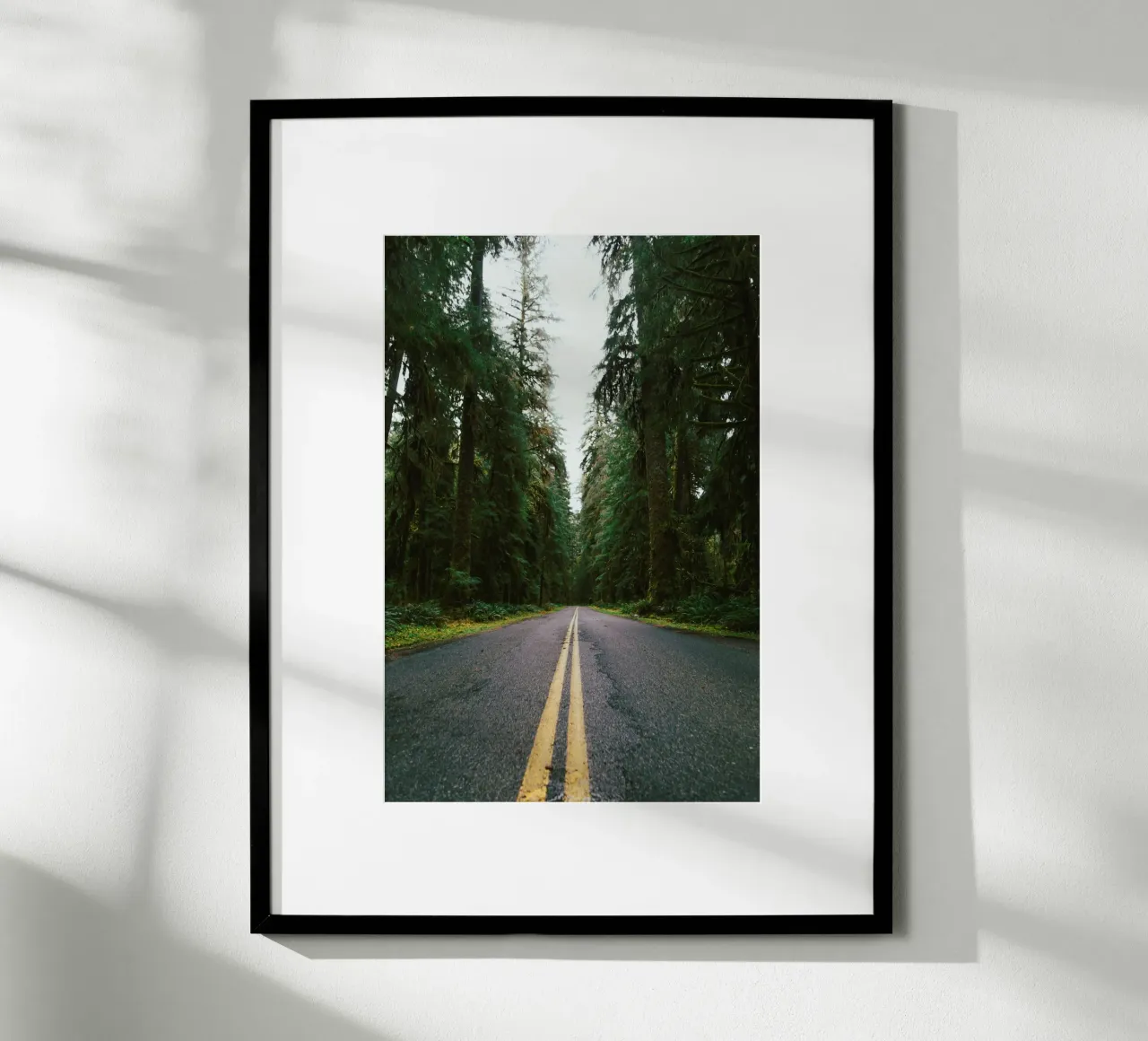 Rainforest Drive poster da wowhannahphotos