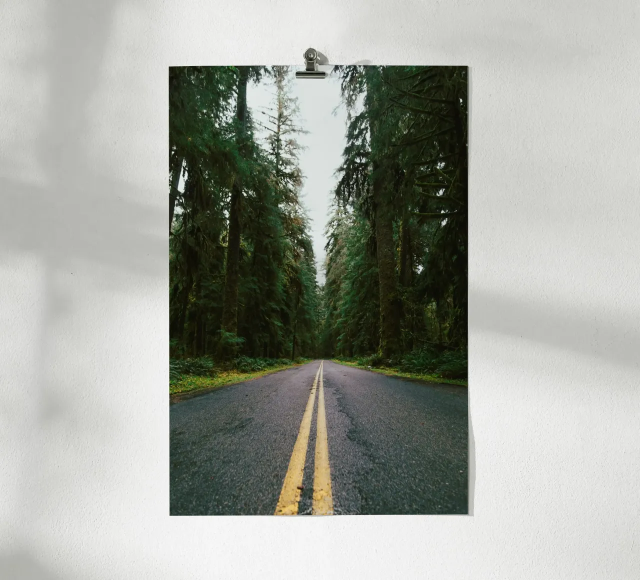 Rainforest Drive poster da wowhannahphotos