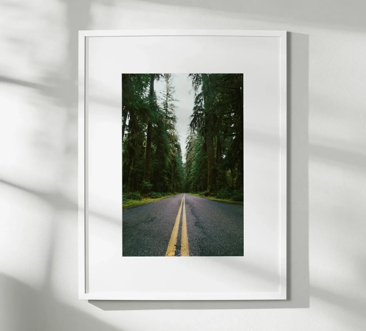 Rainforest Drive poster da wowhannahphotos