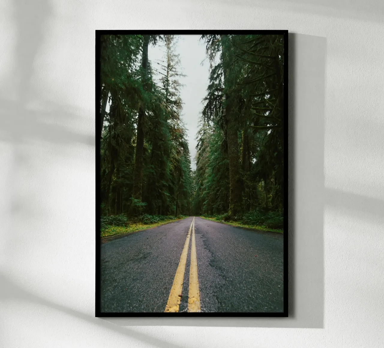 Rainforest Drive poster da wowhannahphotos