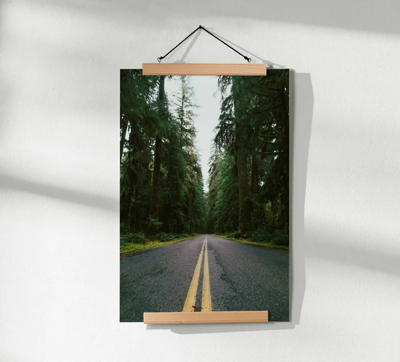 Rainforest Drive poster da wowhannahphotos