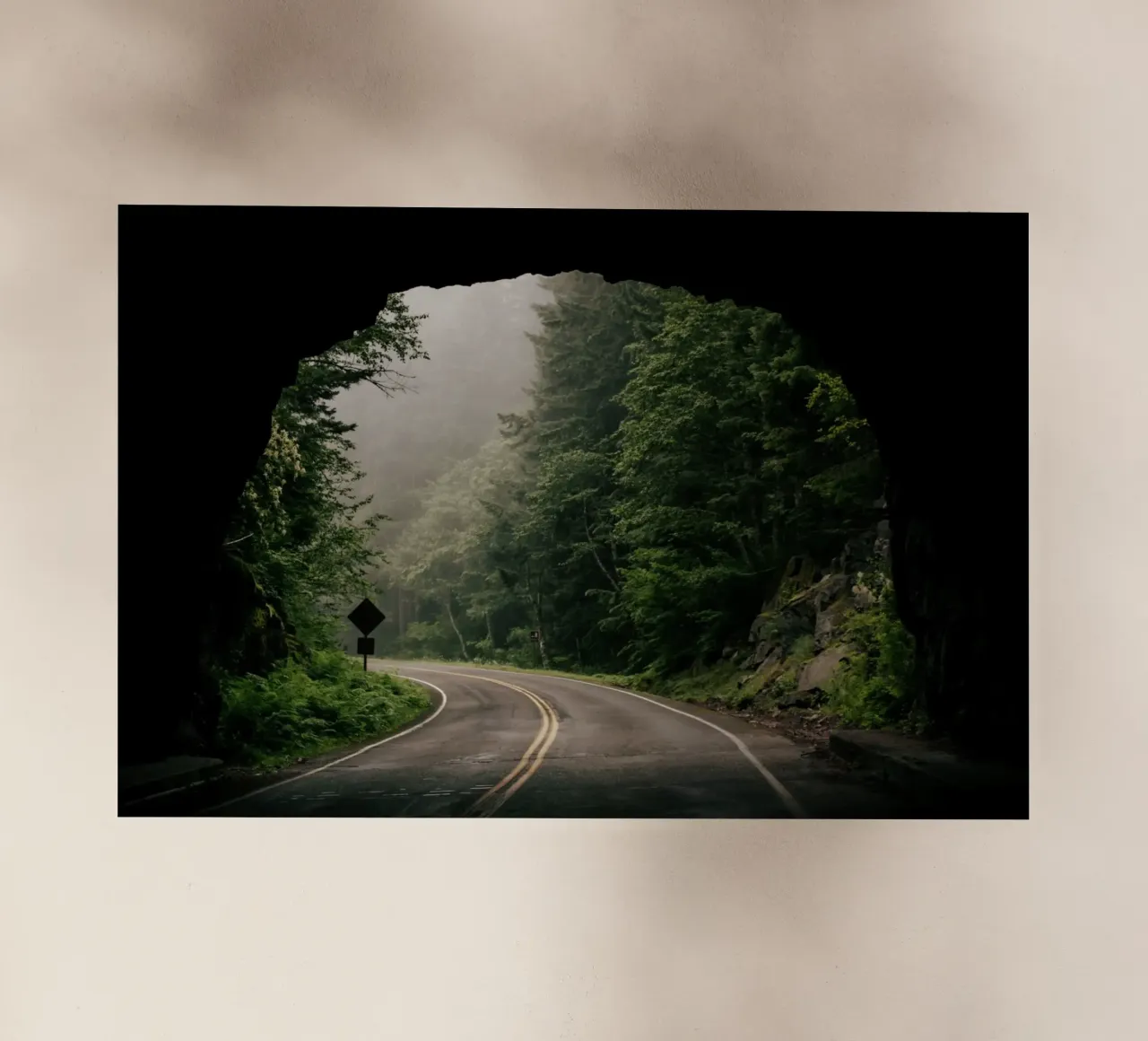 Through the Tunnel pellicola backlit da wowhannahphotos