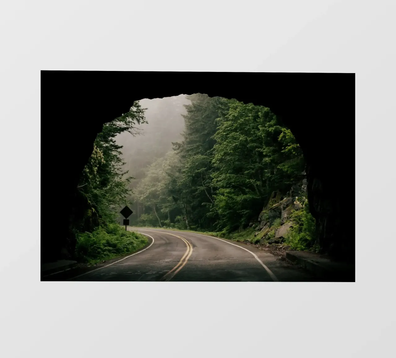 Through the Tunnel pellicola backlit da wowhannahphotos