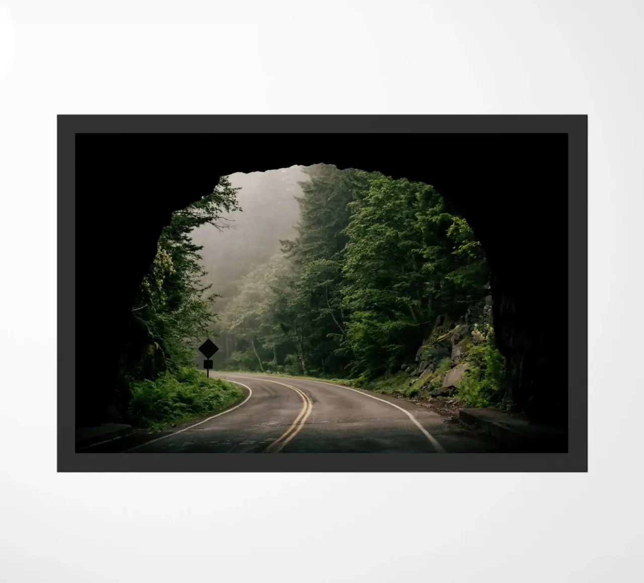 Through the Tunnel zerbino da wowhannahphotos