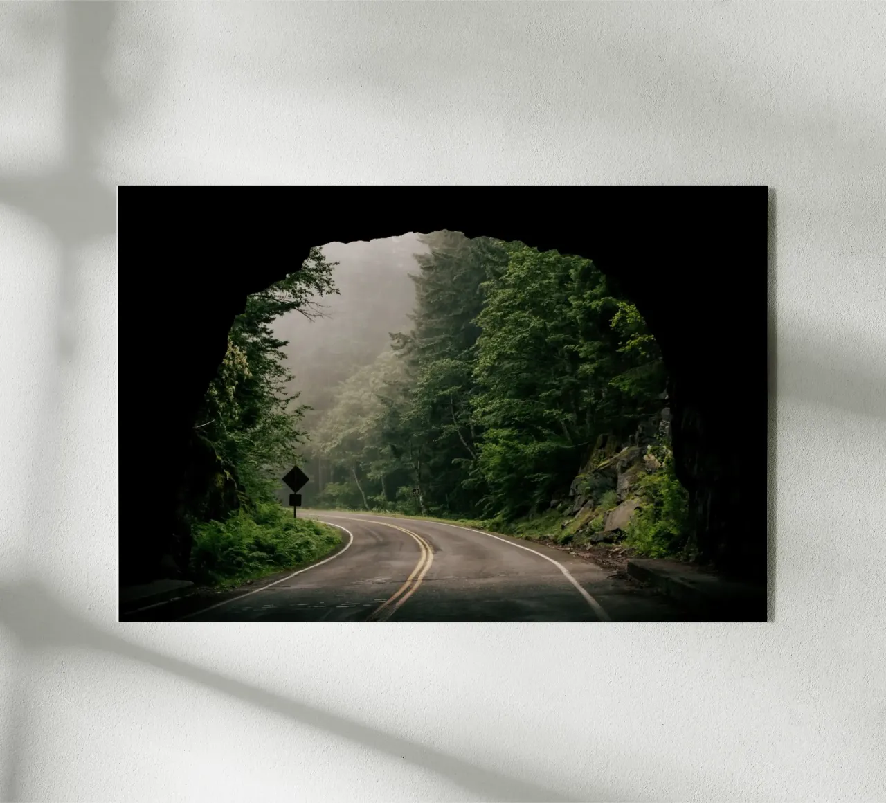 Through the Tunnel plexiglass da wowhannahphotos