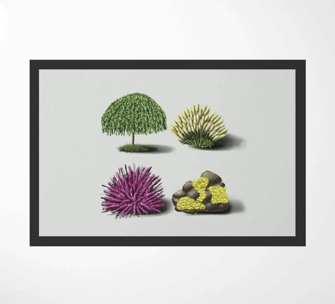 Plants zerbino da sketch_visual_studio