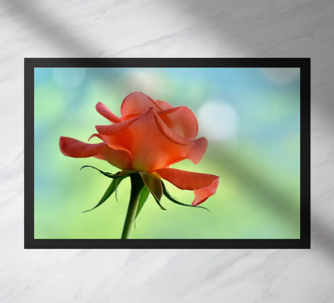 Rosa zerbino da Atteloi