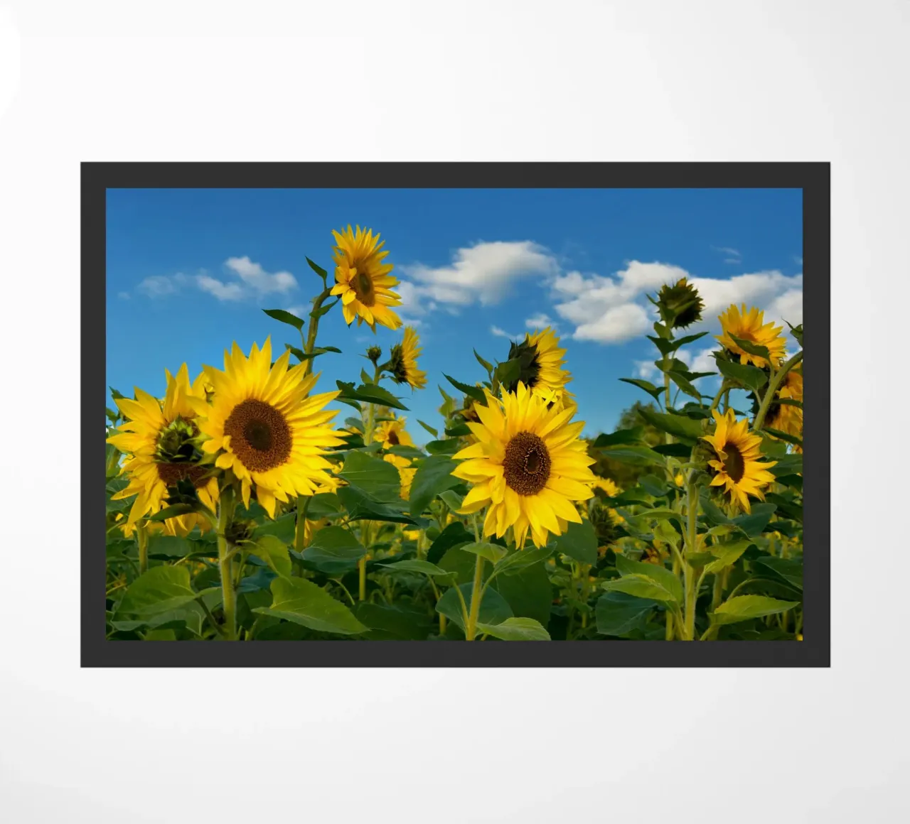Sunflowers doormat by Atteloi
