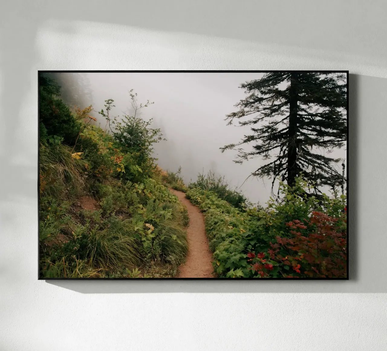 Happy Trails plexiglass da wowhannahphotos