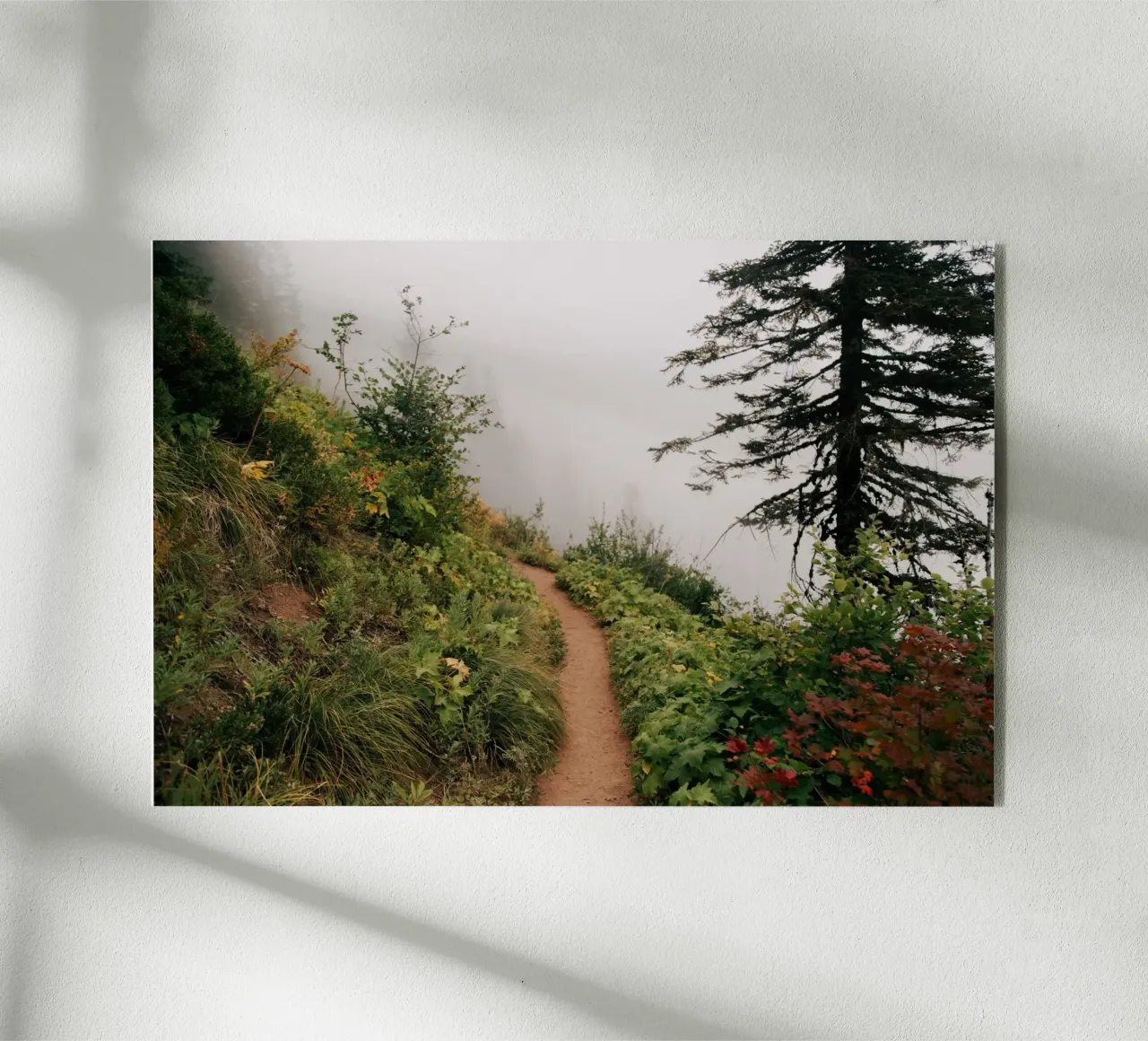 Happy Trails plexiglass da wowhannahphotos