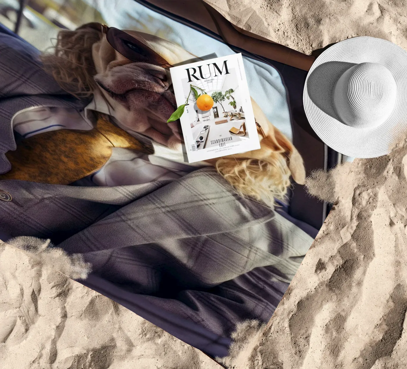 Jake strandhanddoek van Affiches Chien Originales – Dogland