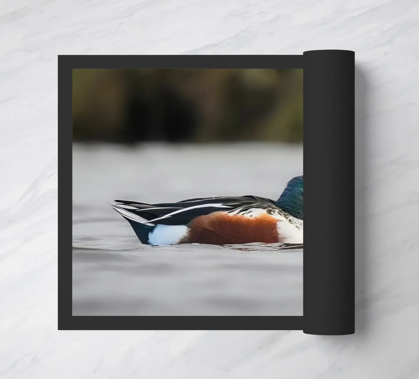 Shoveller doormat by Tom's Wildlife