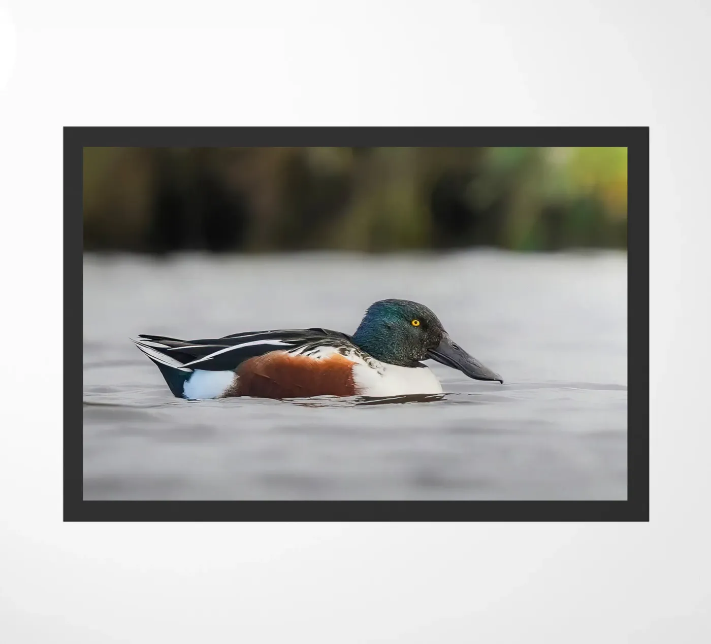 Shoveller doormat by Tom's Wildlife