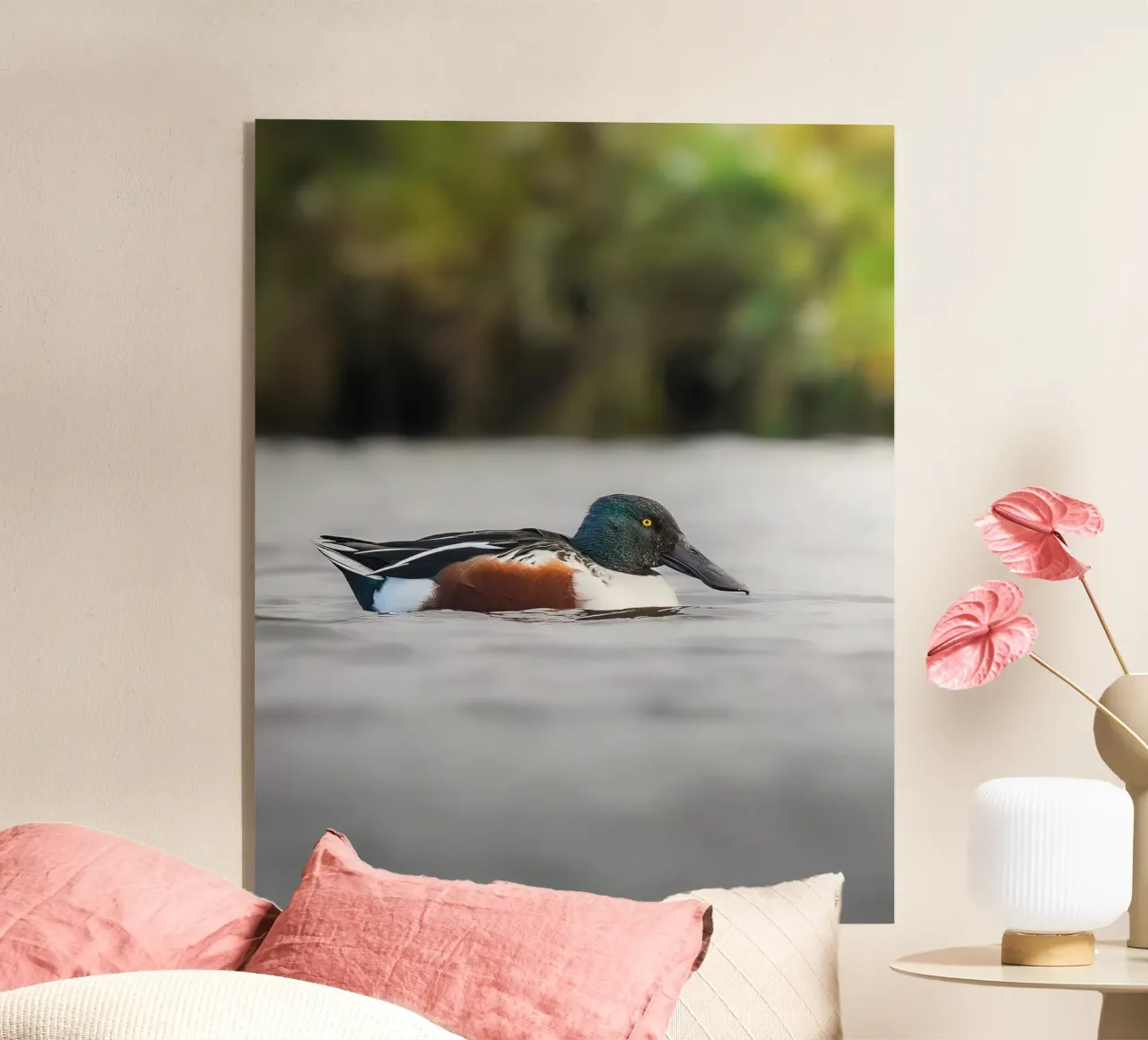 Spalatore plexiglass da Tom's Wildlife