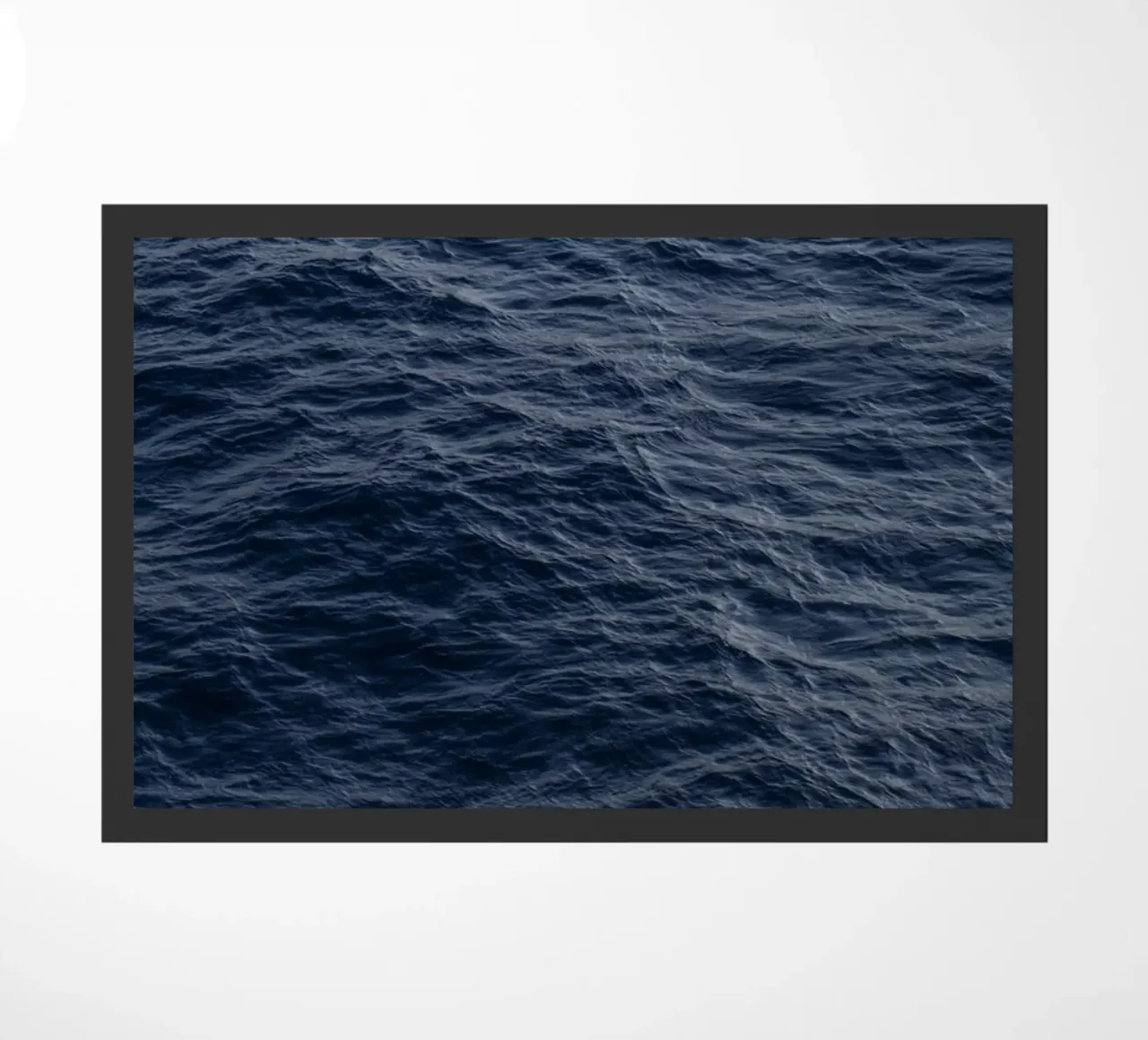 Pacific zerbino da ROBERTO H