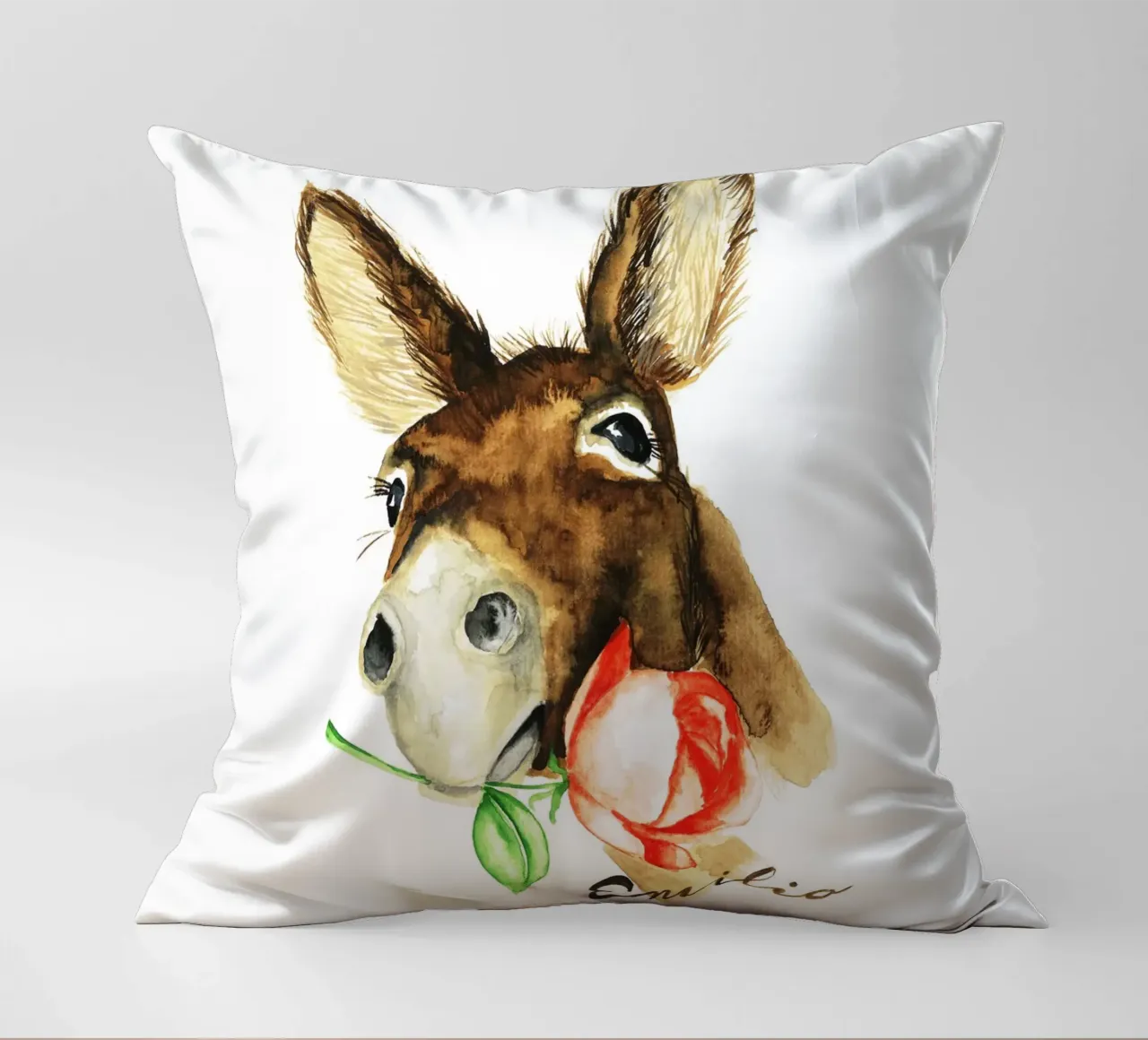 Emilio the Donkey cuscino da Nathys_illustration