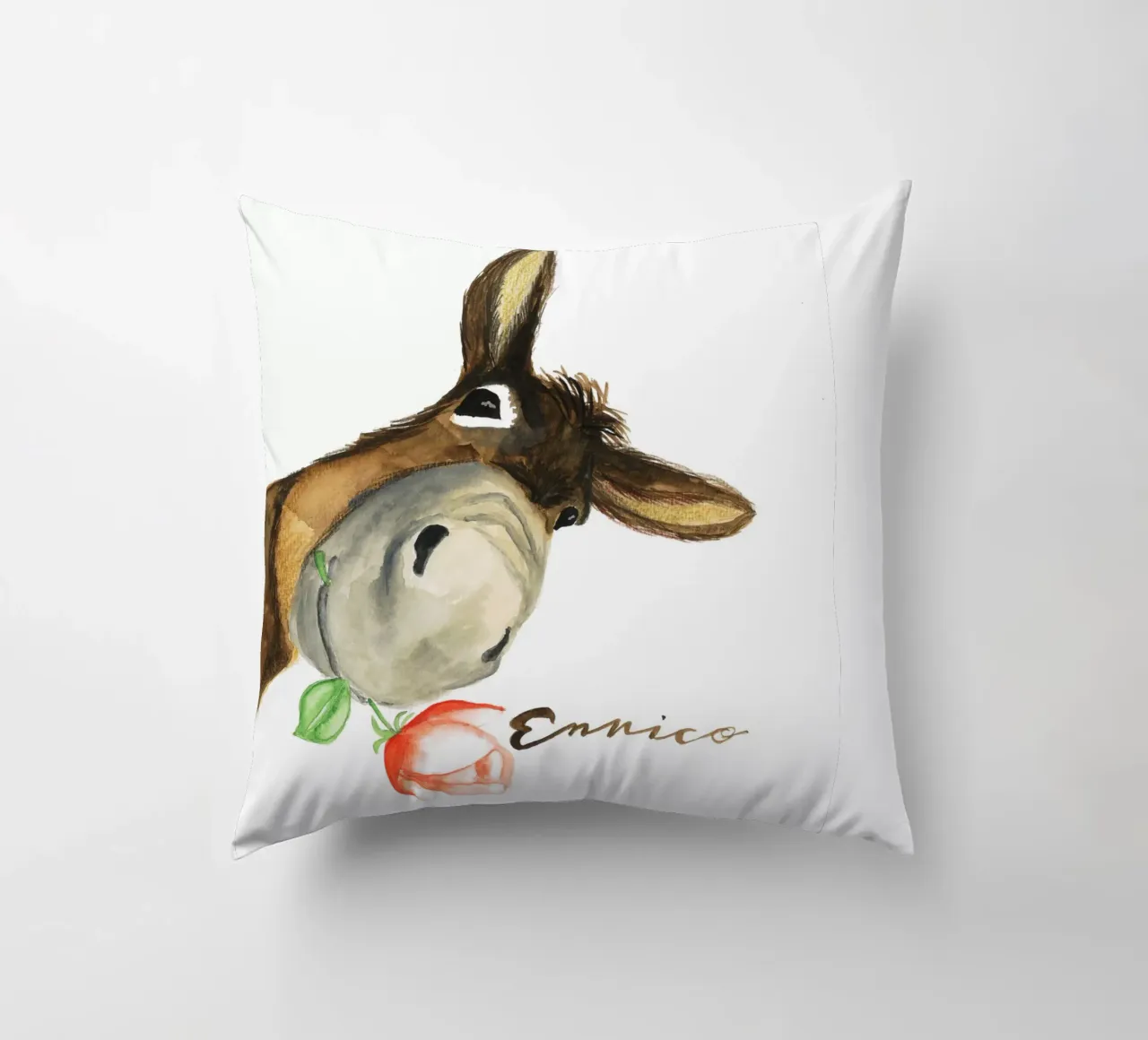 Emilios Friend Enrico cuscino da Nathys_illustration