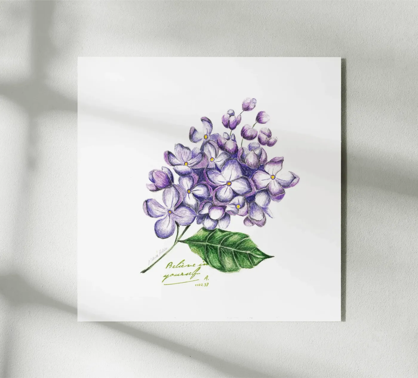 lilac plexiglass da Nathys_illustration
