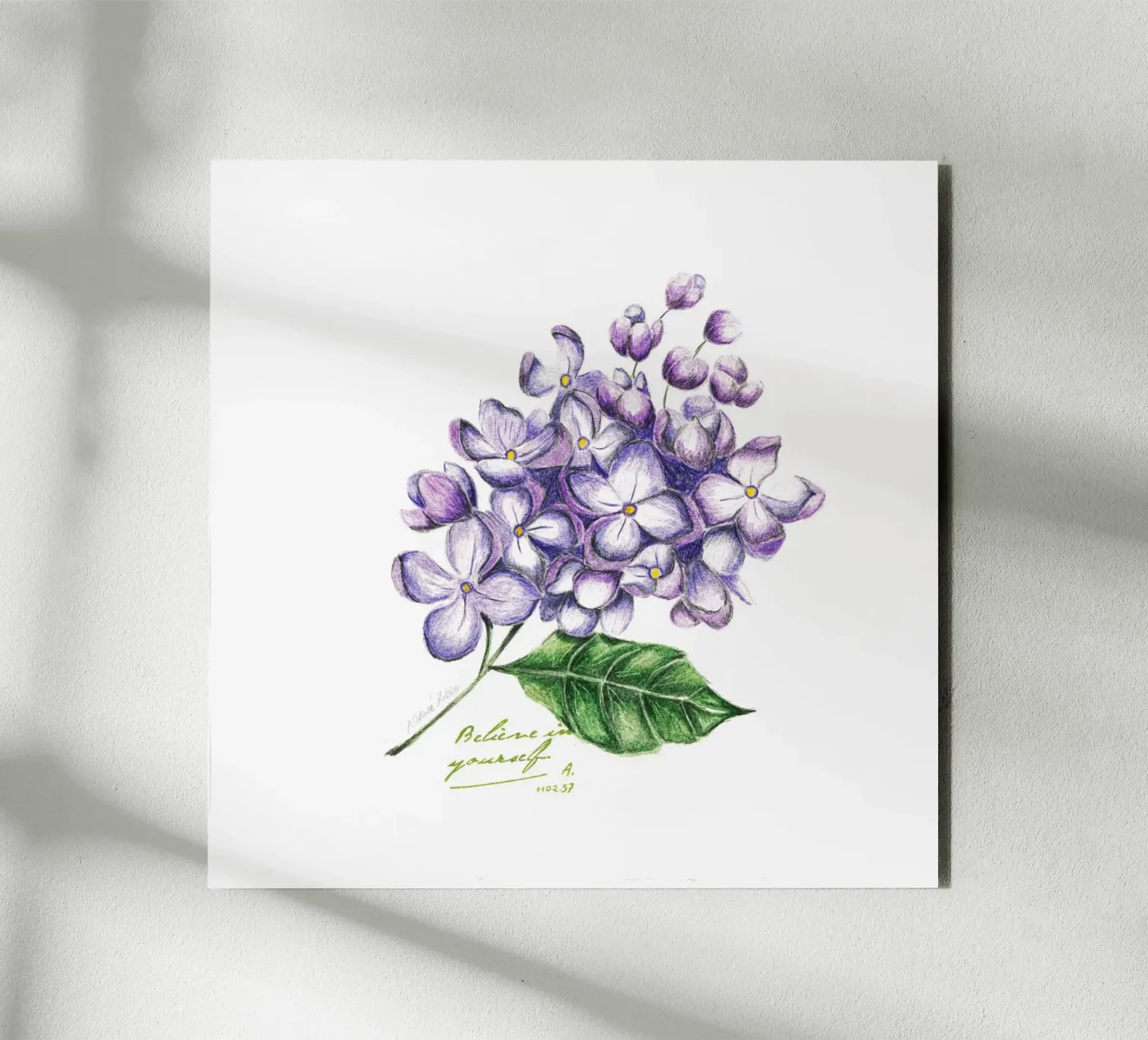 lilac alluminio dibond da Nathys_illustration