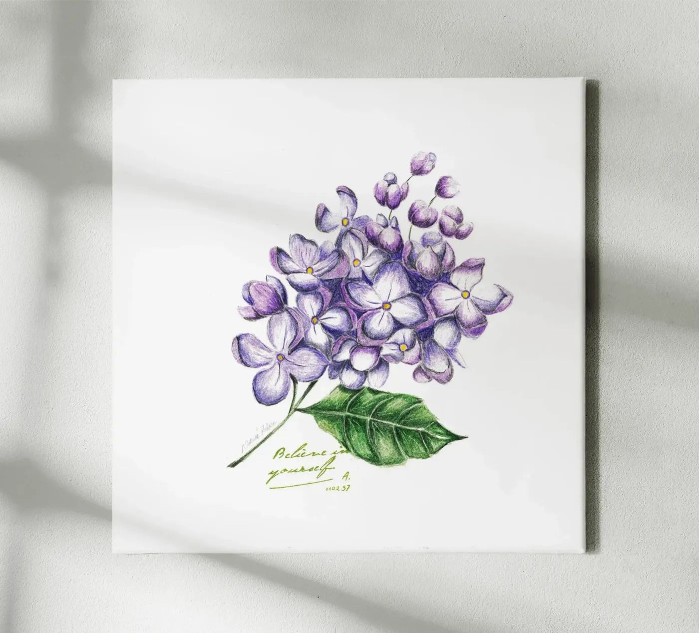 lilac tela da Nathys_illustration