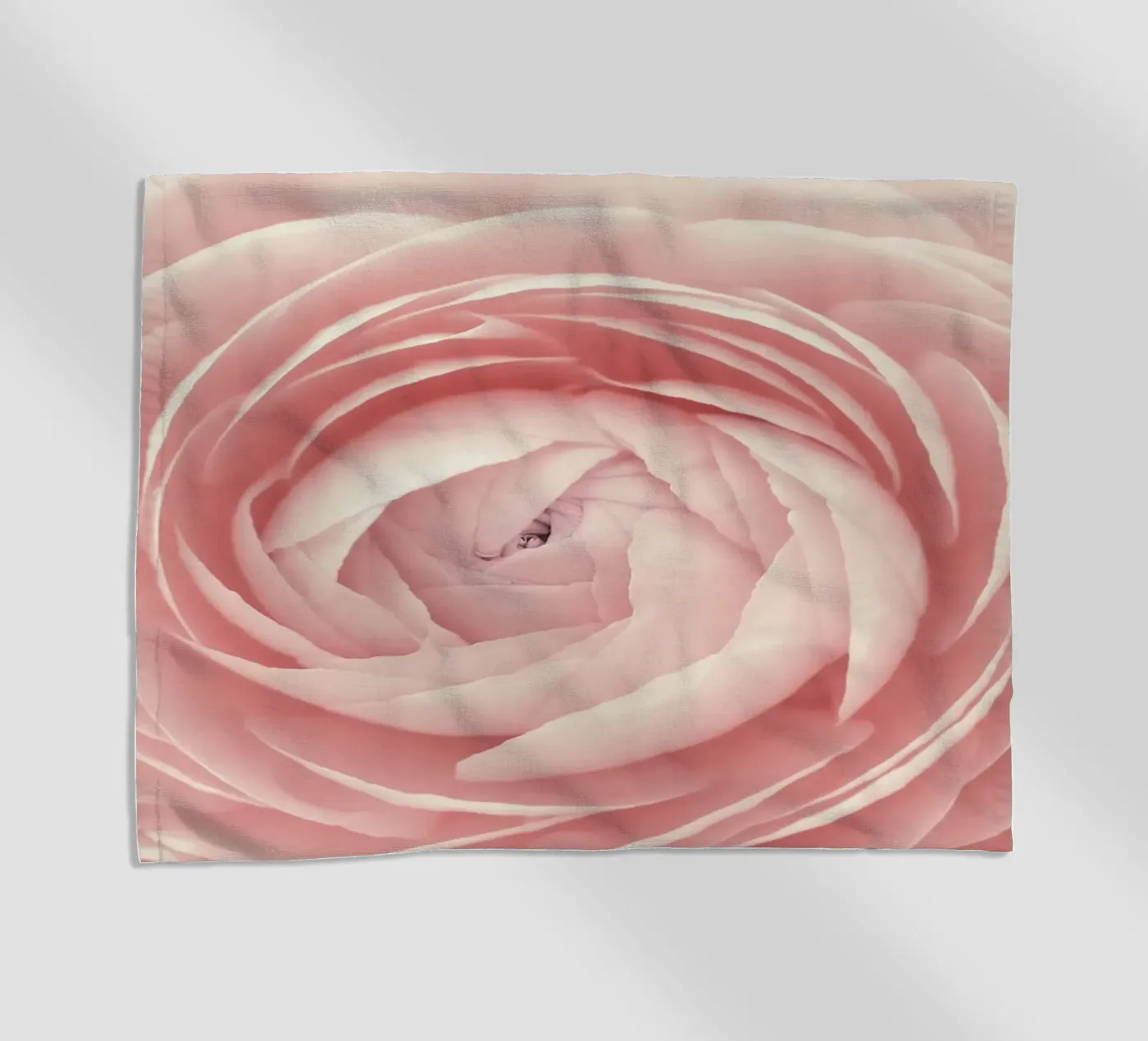 Ranunculus telo mare da Atteloi