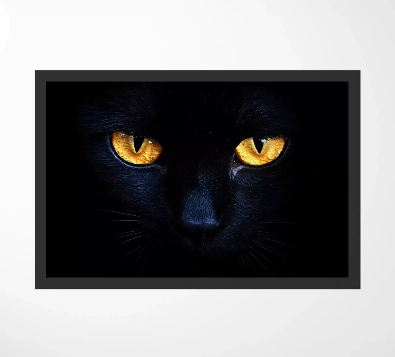 Miau! zerbino da M-Ulrich-Digital Art