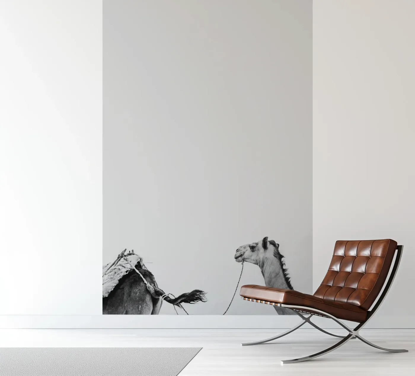 Camel queue fotobehang van photolovers