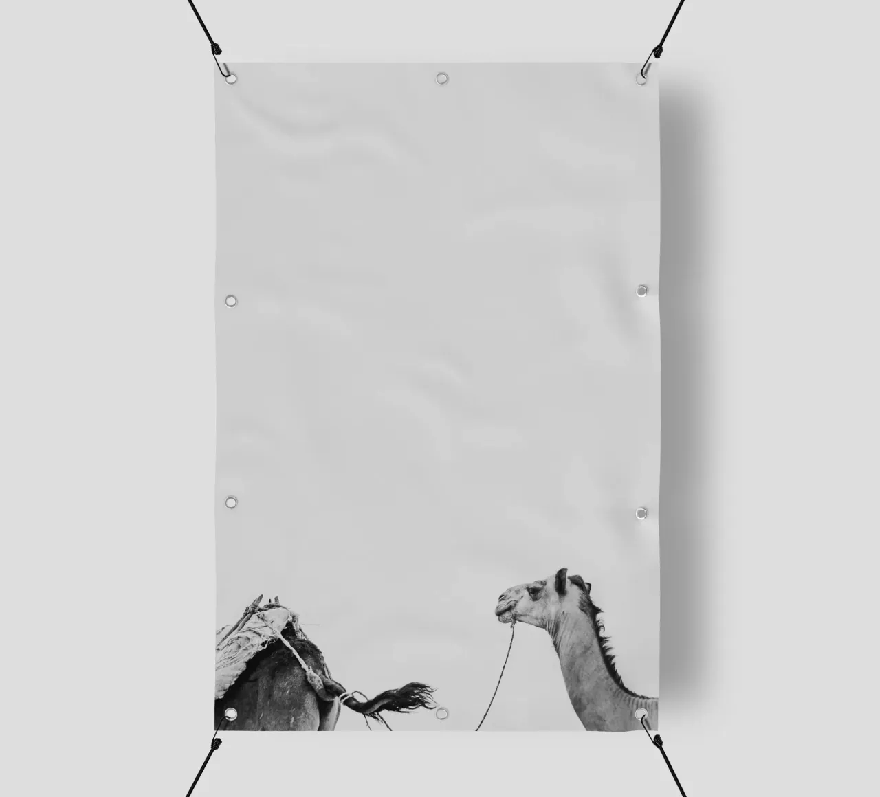 Camel queue telo in pvc da photolovers