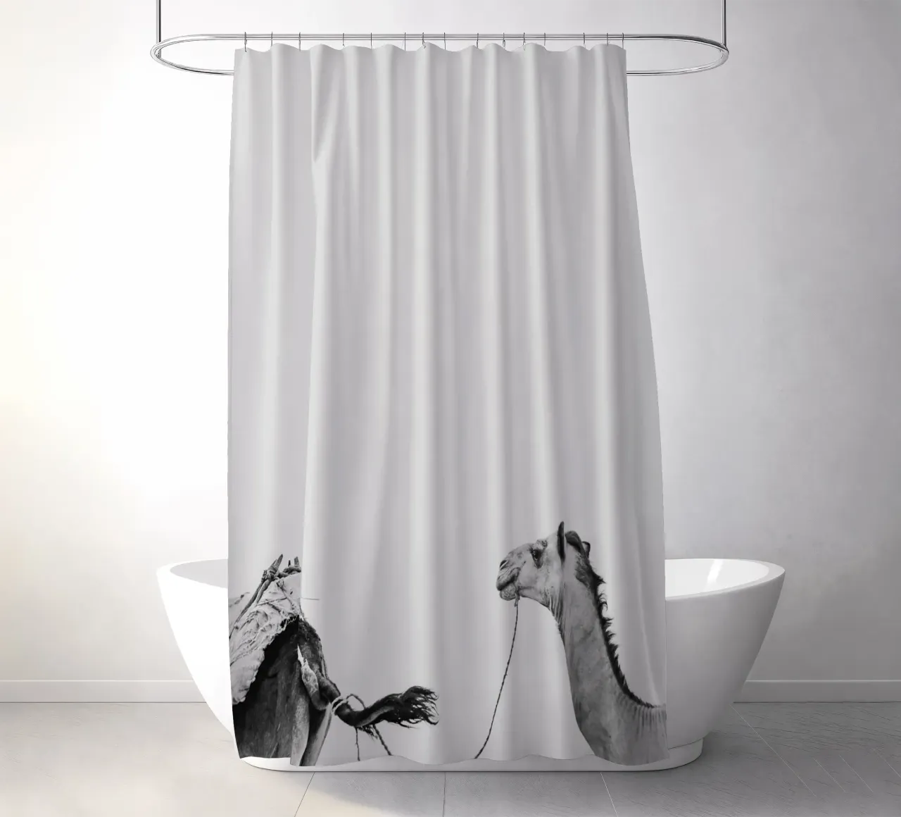 Camel queue Duschvorhang von photolovers