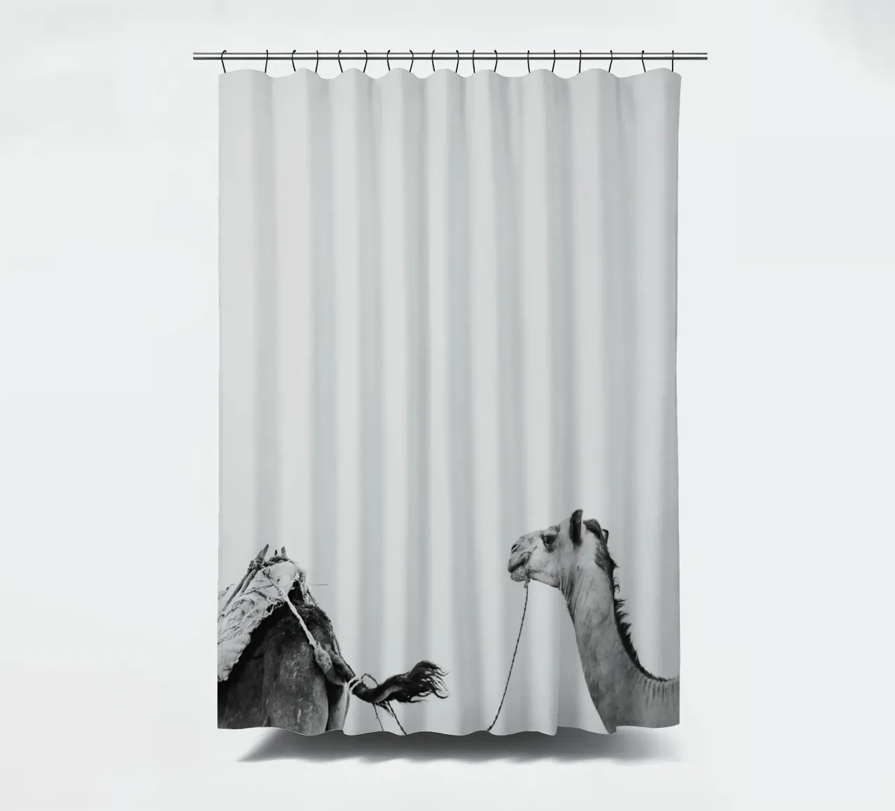 Camel queue Duschvorhang von photolovers