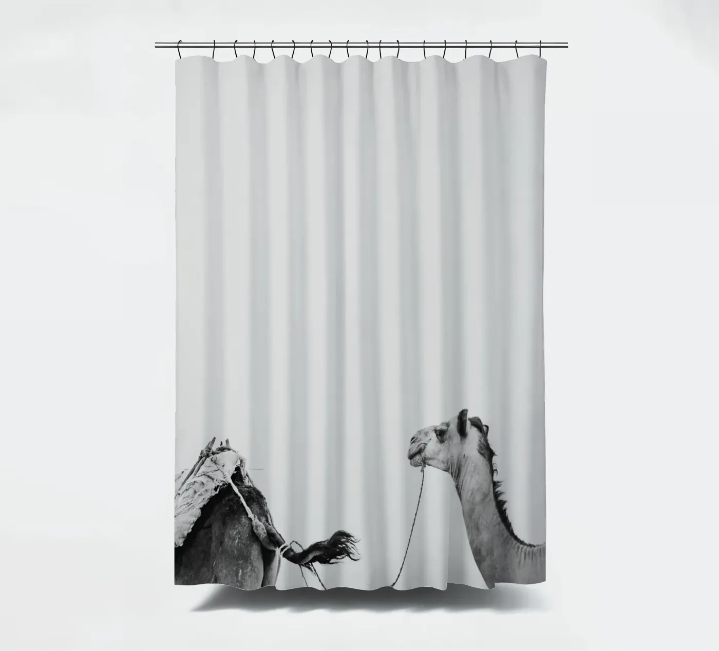 Camel queue Duschvorhang von photolovers